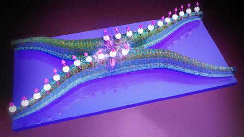 首个二维集成磁振子电路研发成功 1 首个二维集成磁振子电路研发成功