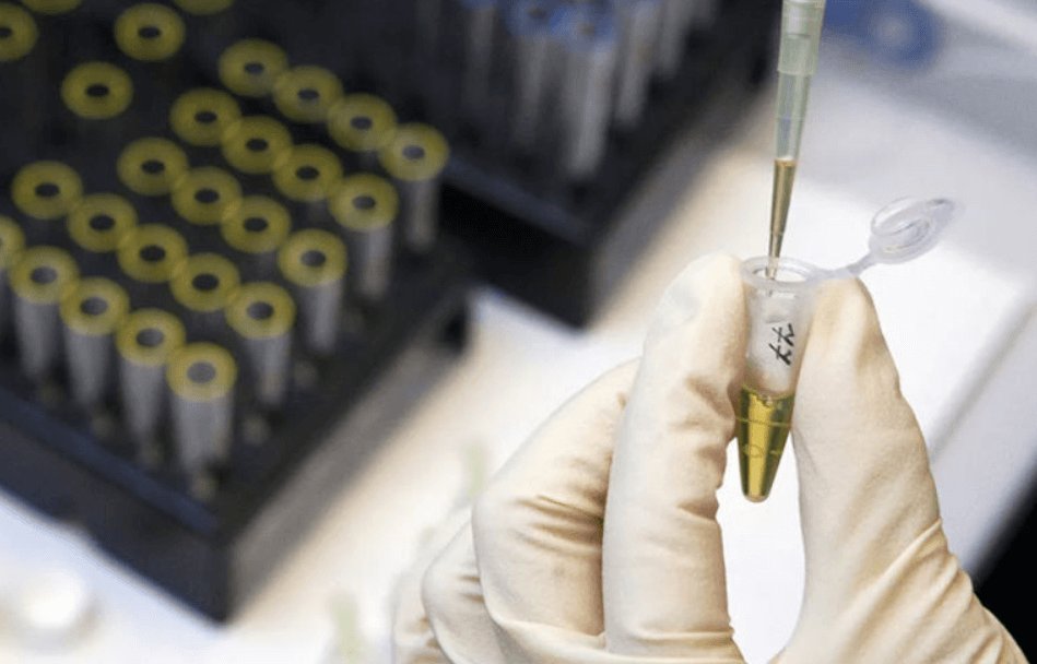 俄罗斯化学家合成新化合物有望用于制备新药剂