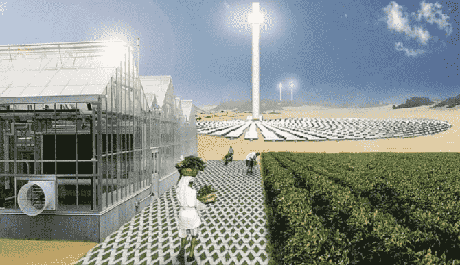 荷兰建立有效利用能源的可持续温室以实现生态友好型农业 1 荷兰建立有效利用能源的可持续温室以实现生态友好型农业