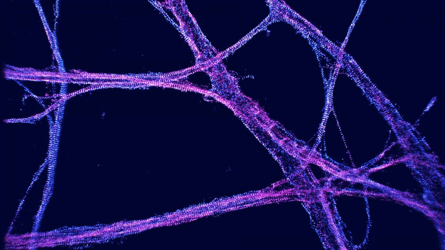 新型虚拟现实成像软件使科学家能够“走进”细胞内部 2 新型虚拟现实成像软件使科学家能够“走进”细胞内部