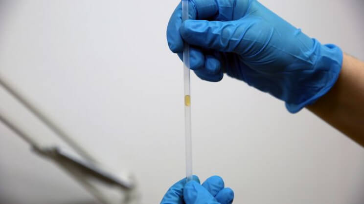 科学家开发一种特殊涂层使管道中的稠液流动速度比水快10倍 1 科学家开发一种特殊涂层使管道中的稠液流动速度比水快10倍