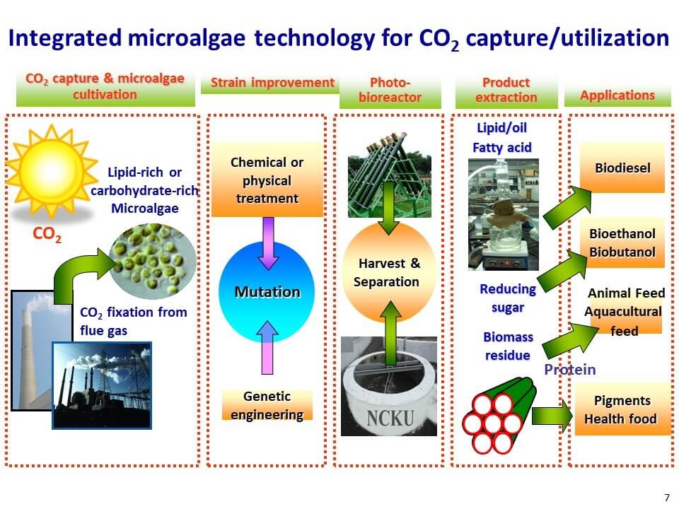 微藻生物固碳减排技术与循环经济
