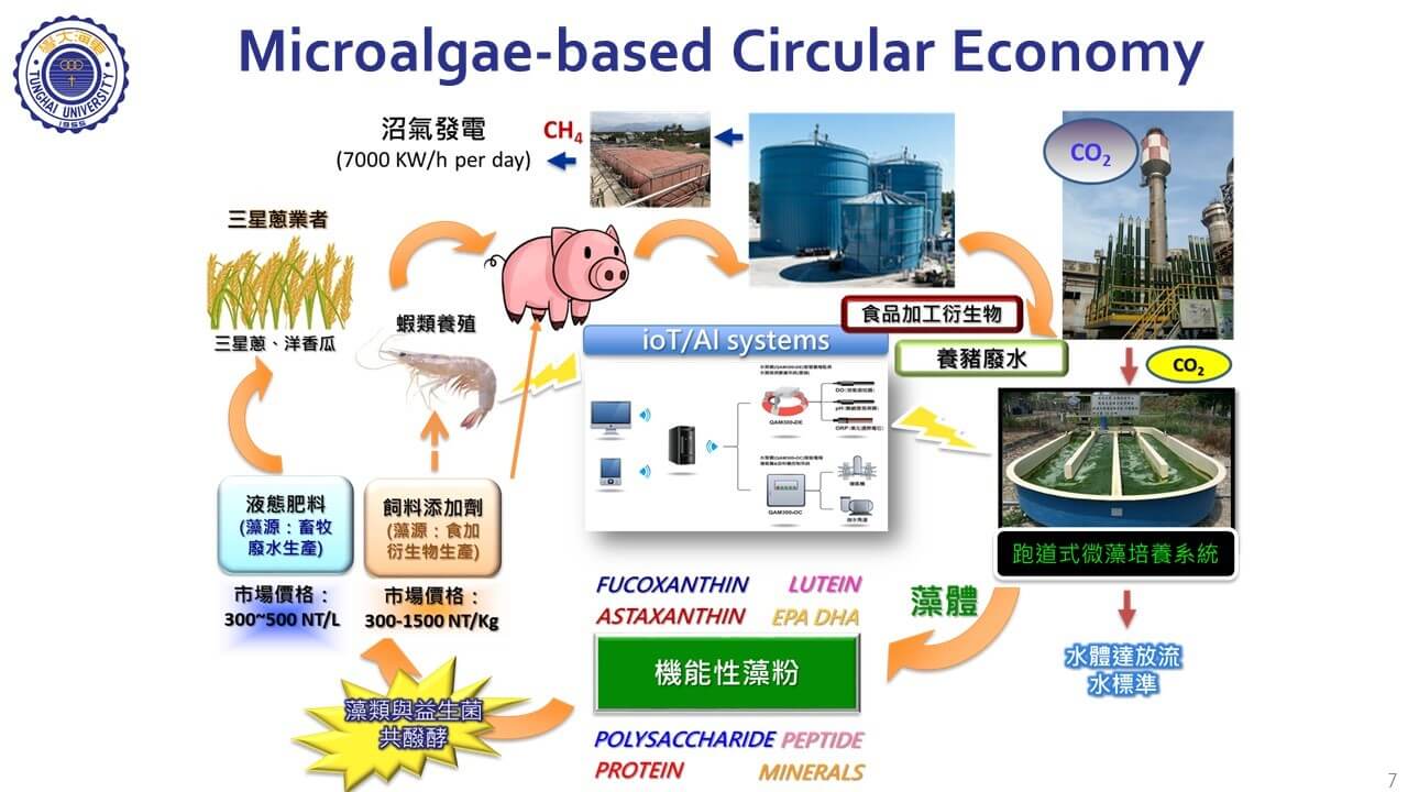 微藻生物固碳减排技术与循环经济