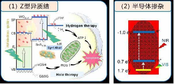 上海交通大学氢科学中心在氢医学领域取得一系列研究进展