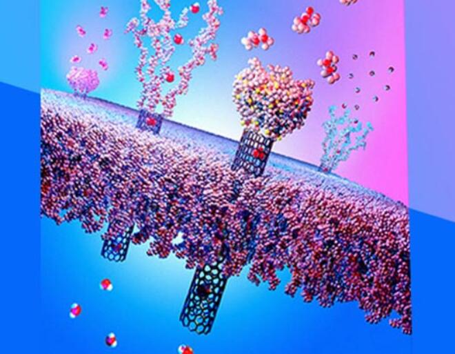 科学家开发一种智能透气面料可有效抵御生化战剂侵害 1 动态多功能保护材料作为第二皮肤可有效抵御生化战剂侵害