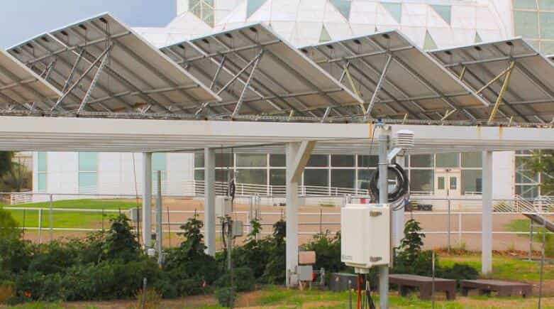 太阳能电池板下种植作物可大大提高能源生产也最大限度提高土地生产力