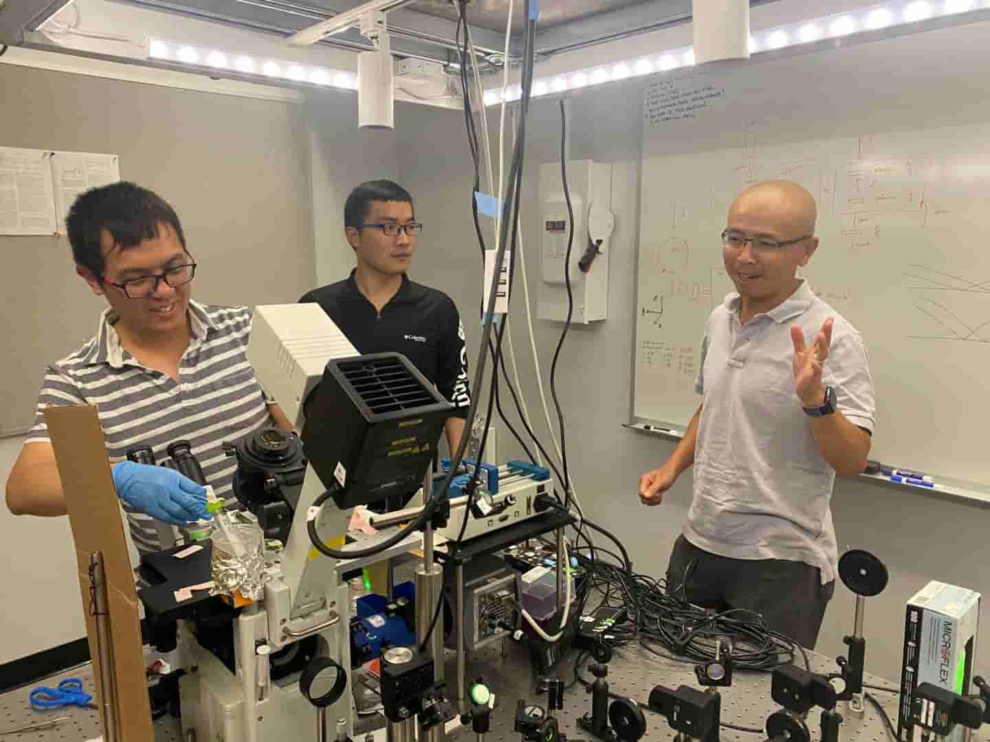 新研究确定一种化学方法可以从环境中去除微污染物