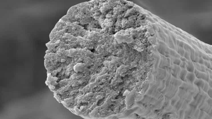 科学家创造出比凯夫拉纤维更强的合成肌肉纤维 1 科学家创造出比凯夫拉纤维更强的合成肌肉纤维