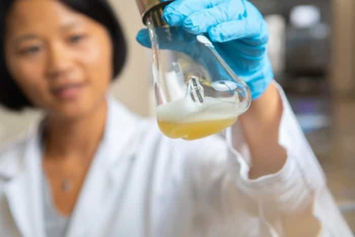 科学家将糖转化为碳氢化合物 有望为未来汽车提供动力