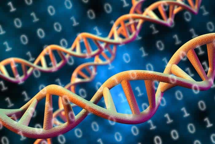 科学家开发出DNA存储编解码器可将数据文件从计算机文件转换为DNA代码