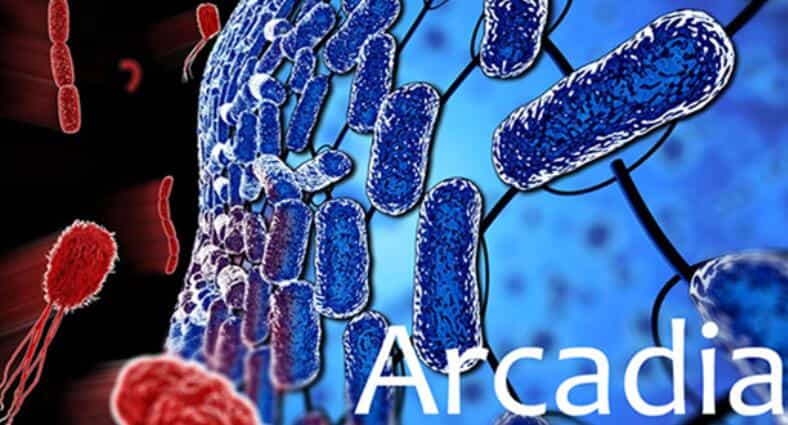 DARPA计划开展Arcadia微生物涂层项目 1 DARPA计划开展Arcadia微生物涂层项目