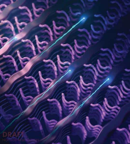 KAUST构建出更好的生物传感器聚合物 