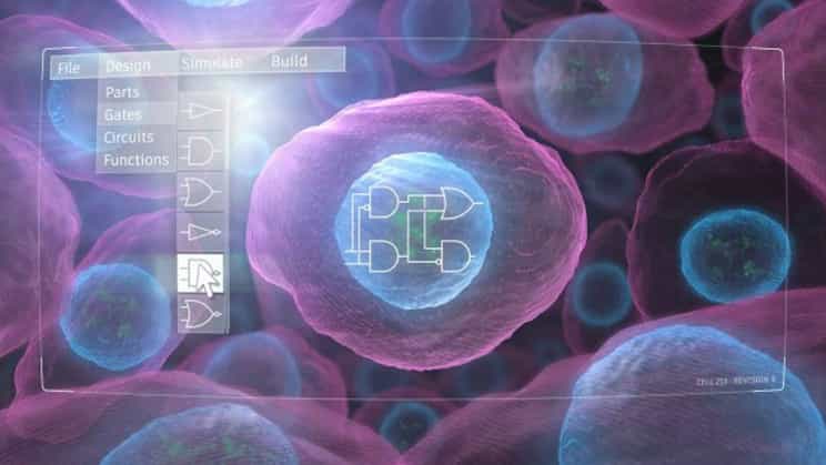 科学家找到了预测有用基因设计的方法 1 科学家找到了预测有用基因设计的方法