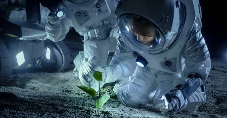 NASA新挑战赛寻求新型食品系统技术解决更远深空探索任务补给 1 NASA新挑战赛寻求新型食品系统技术解决更远深空探索任务补给