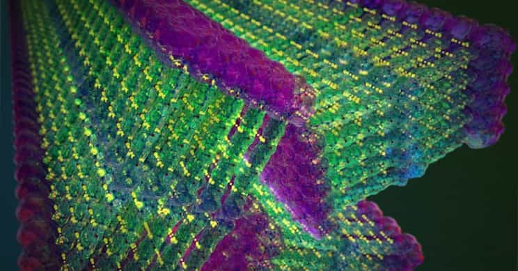 MIT科学家开发一种自组装纳米纤维材料比钢更坚固
