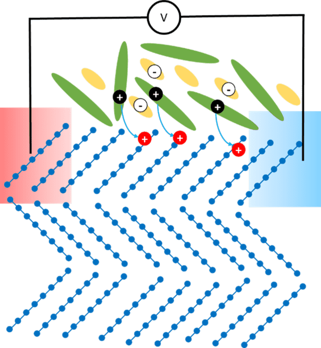 将体热转化为电能:向高性能有机热电技术迈进了一步 1 将体热转化为电能:向高性能有机热电技术迈进了一步