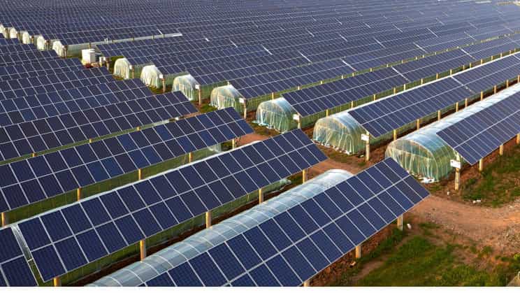 温室大棚上的透明太阳能电池板可以帮助农民减少碳足迹
