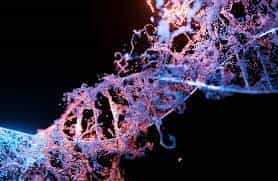 科学家为生物学研究开发超高速人工智能系统BioAutoMATED 一个开源自动化机器学习平台